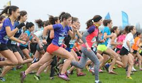 Cross départemental unss: quelques infos!